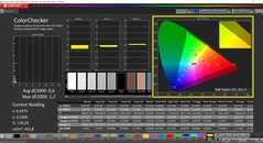 CalMAN ColorChecker gekalibreerd (doelkleurruimte: P3)