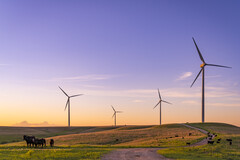 Enel's Smokey Hills Windmolenpark. Referentiefoto. (Afbeeldingsbron: Enel)