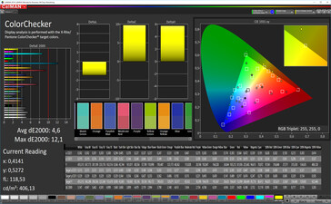 CalMAN: Colour Accuracy – sRGB doel kleurenspecturm, aangepaste witbalans