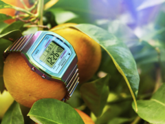 De Timex 80 36mm (afbeelding) met een roestvrijstalen expansieband horloge. (Afbeeldingsbron: Timex)