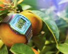 De Timex 80 36mm (afbeelding) met een roestvrijstalen expansieband horloge. (Afbeeldingsbron: Timex)