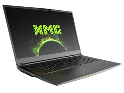 XMG Neo 17 (Tongfang GM7ZG7S): Testtoestel geleverd door Schenker Technologies