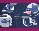 Een infographic die enkele potentiële toepassingen van MUSAS laat zien (Afbeelding bron: Giovanni Traverso; bewerkt screenshot)