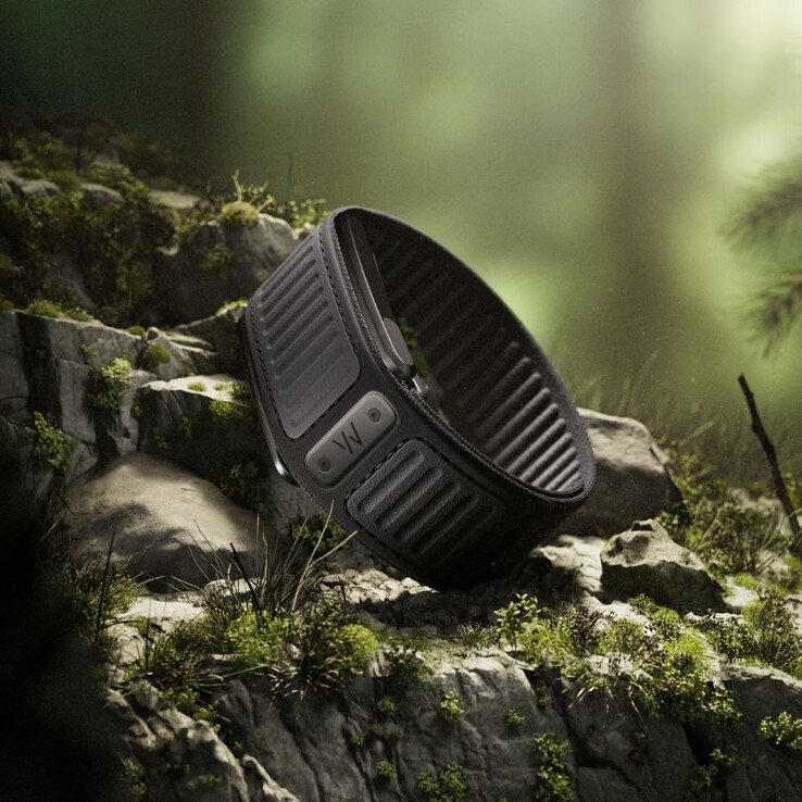 De Whoop Navigator Band in Ridgeline