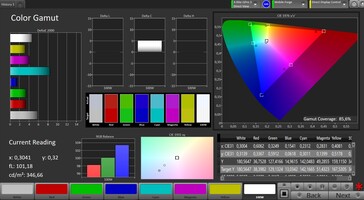 CalMAN sRGB-kleurruimte