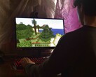 De afbeelding toont een persoon die Minecraft speelt op een pc