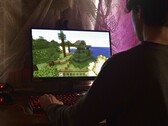 De afbeelding toont een persoon die Minecraft speelt op een pc 