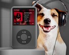 Innioasis verkoopt een Apple iPod Classic lookalike (bron: Innioasis)