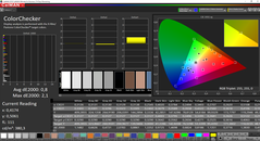 CalMAN ColorChecker gekalibreerd