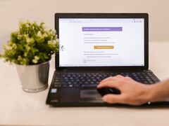 Een laptop op een bureau waarop een geopende e-mailinbox te zien is, met daarnaast een potplant.