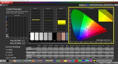 CalMAN ColorChecker (profiel: P3, doelkleurruimte: P3)