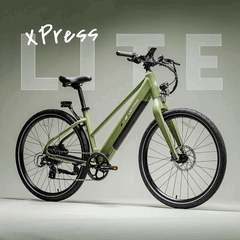 De Lectric XPress Lite e-bike in de kleur dennengroen