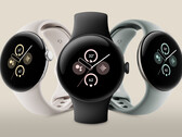 De Pixel Watch 2 in drie van de vier kleurencombinaties. (Afbeeldingsbron: @evleaks)