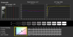 Calman ColorChecker: DisplayP3 weergavemodus - grijswaarden