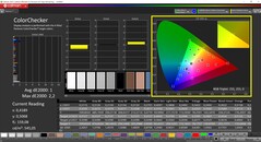 CalMAN ColorChecker (profiel: sRGB, doelkleurruimte sRGB)