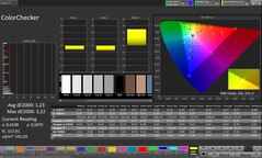 ColorChecker (Profiel: Professioneel, Doelkleurruimte: sRGB)