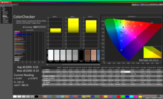 ColorChecker vóór kalibratie (ten opzichte van P3)