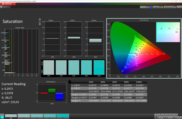 Kleurverzadiging ("Oorspronkelijke kleur" kleurenschema, sRGB doelkleurruimte)