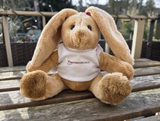 Samsung Galaxy S25 Ultra: Voorbeeldfoto