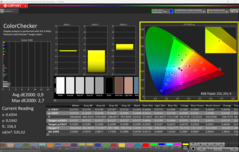 CalMAN KleurenChecker (P3)