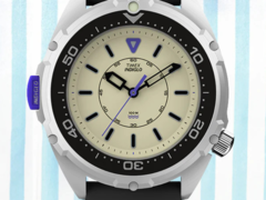 De Timex Intrepid x Dimepiece Edition (afbeelding). (Afbeeldingsbron: Timex)