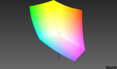 vs. sRGB: 99,5 % (Argyll, 3D-vergelijking)