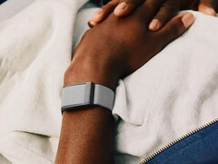 De tracker van Whoop heeft blijkbaar aanzienlijke problemen (Afbeelding bron: Whoop)