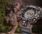 Casio's nieuwe G-Shock GW-9502KJ-8 horloge (afbeelding) wordt officieel op 14 november in Japan gelanceerd. (Afbeeldingsbron: Casio)