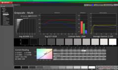 Grijswaarden vóór kalibratie (P3)