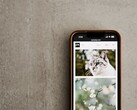 Smartphone op een grijze ondergrond met een galerij van foto’s van katten en bloemen op het scherm