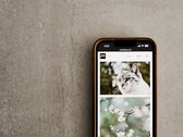 Smartphone op een grijze ondergrond met een galerij van foto’s van katten en bloemen op het scherm