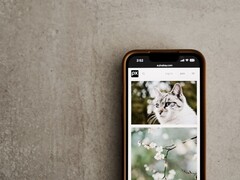 Smartphone op een grijze ondergrond met een galerij van foto’s van katten en bloemen op het scherm