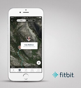 (Beeldbron: Fitbit)