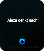 Alexa stem assistent