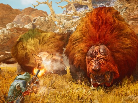 Monster Hunter Wilds woestijngevechten (Afbeelding bron: Steam)