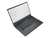 Kort testrapport MSI WS66 10TMT Workstation Laptop: Sneller dan de Razer Blade 15 Studio Edition