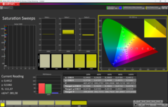CalMAN verzadiging gekalibreerd