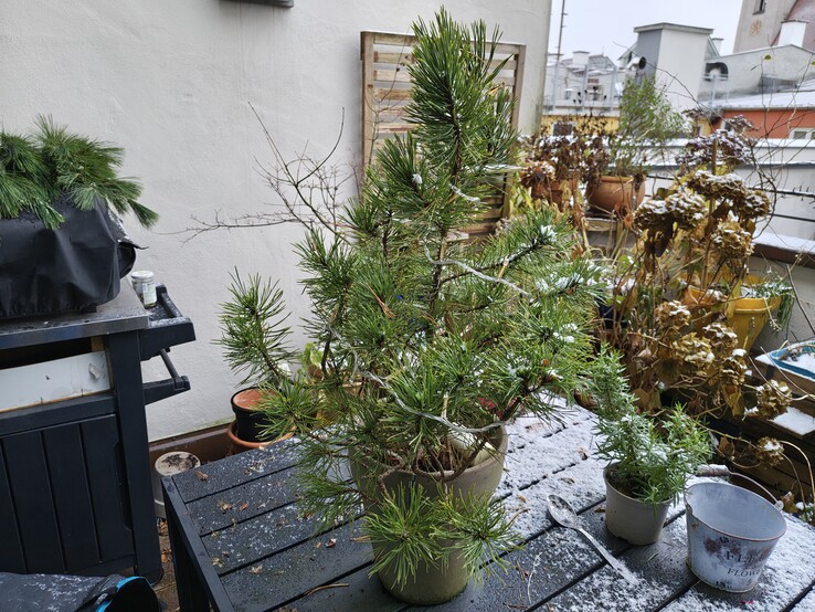 Foto met de hoofdcamera