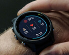 De Garmin Forerunner 255 serie heeft zijn eerste beta build ontvangen. (Afbeelding bron: Garmin)