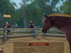 Middeleeuwse paardenhandelaar-simulator.