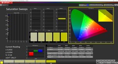 CalMAN verzadiging gekalibreerd (TrueColor-profiel: Display-P3)