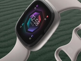 Google is langzaam Fitbit-accounts aan het uitfaseren. (Beeldbron: Fitbit)