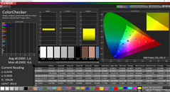 CalMAN ColorChecker (gekalibreerd)