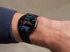 Garmin stuurt softwareversie 15.05 naar gebruikers van de vivoactive 5 en Venu 3 series (foto) smartwatches. (Afbeeldingsbron: Garmin)