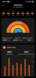 Xiaomi Smart Band 10 Activiteit