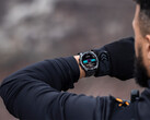 Het valt nog te bezien of Garmin ook voor bestaande smartwatches, zoals de Fenix 8, nieuwe functies zal vastleggen. (Afbeeldingsbron: Garmin)