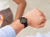 De Pixel Watch 2 LTE is tot nu toe de enige Pixel Watch SKU die de update van deze maand heeft ontvangen. (Afbeeldingsbron: Google)