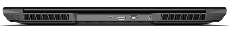 Achterkant: voeding, 2,5 Gbit (LAN), HDMI 2.1 (met HDCP 2.3), Thunderbolt 4/USB-C 4.0 Gen3 (DisplayPort 1.4a, G-SYNC-compatibel, geen stroomvoorziening) (beeldbron: Schenker)