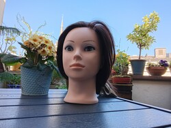 Camerabeeld voorkant