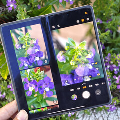 Alle kleuropties van de Magic V5, op één na, zijn 9 mm dik wanneer ze gesloten zijn en wegen officieel 222 g. (Afbeelding bron: Fenibook)